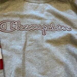 Champion Men's Crewneck Sweater in Gray retro